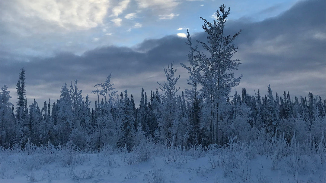 Outdoor Journalist Praises Aurora Heat’s Reusable Hand Warmers for Winter Adventures