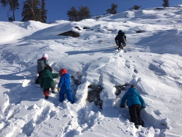 Bushkids NWT