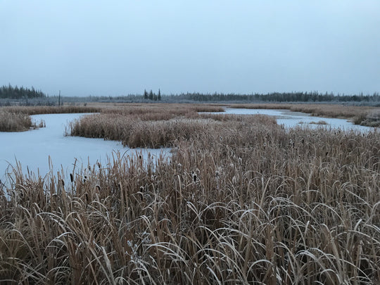 lake