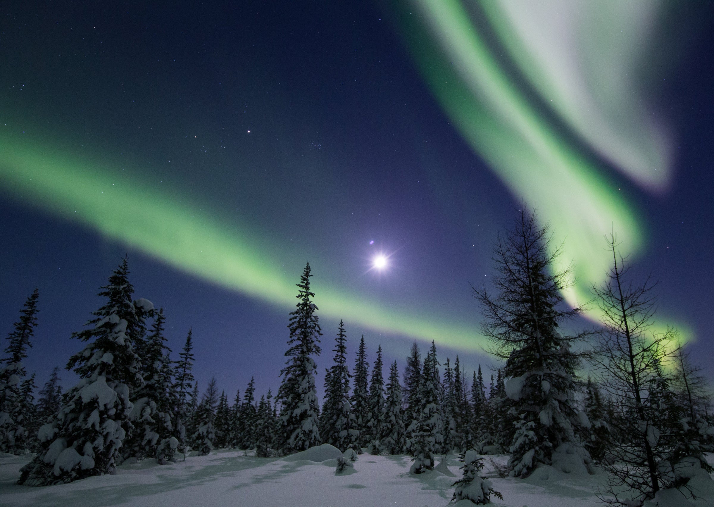 Aurora in Northwest Territories