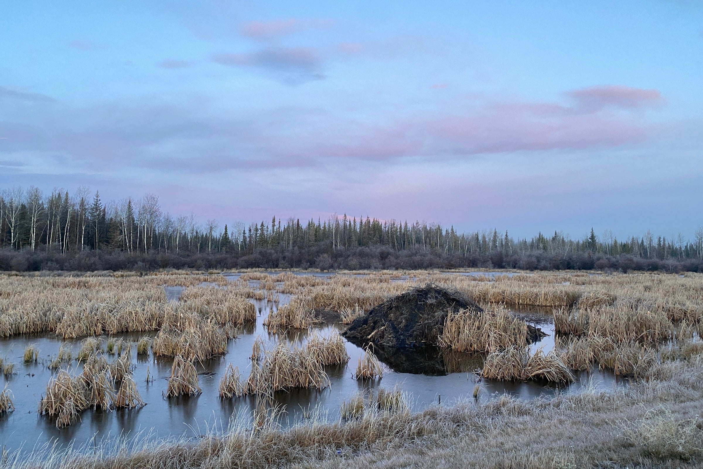 Northern Canada's beautiful landscape outdoors.