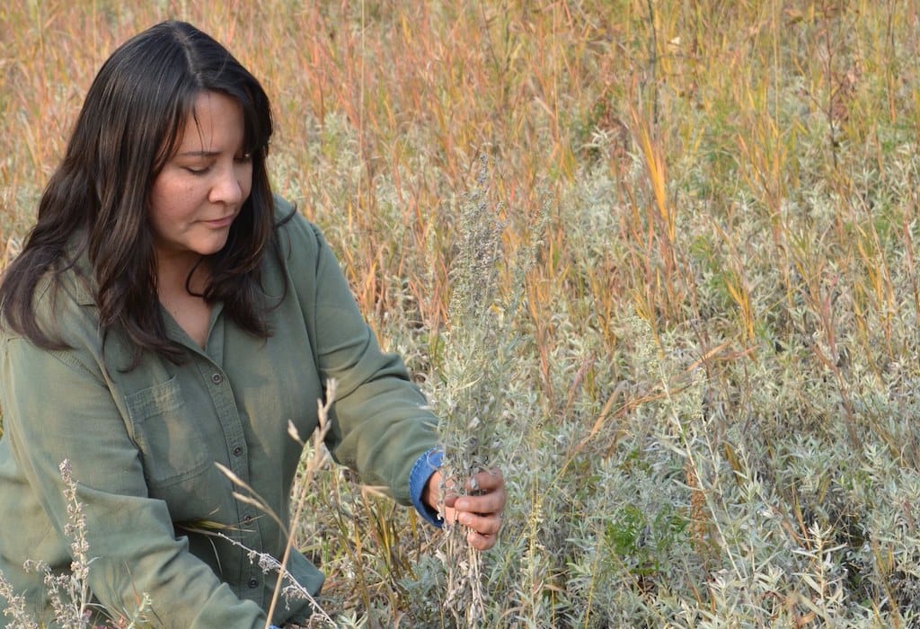 Brenda Dragon sitting in nature harvesting sacred plants.
