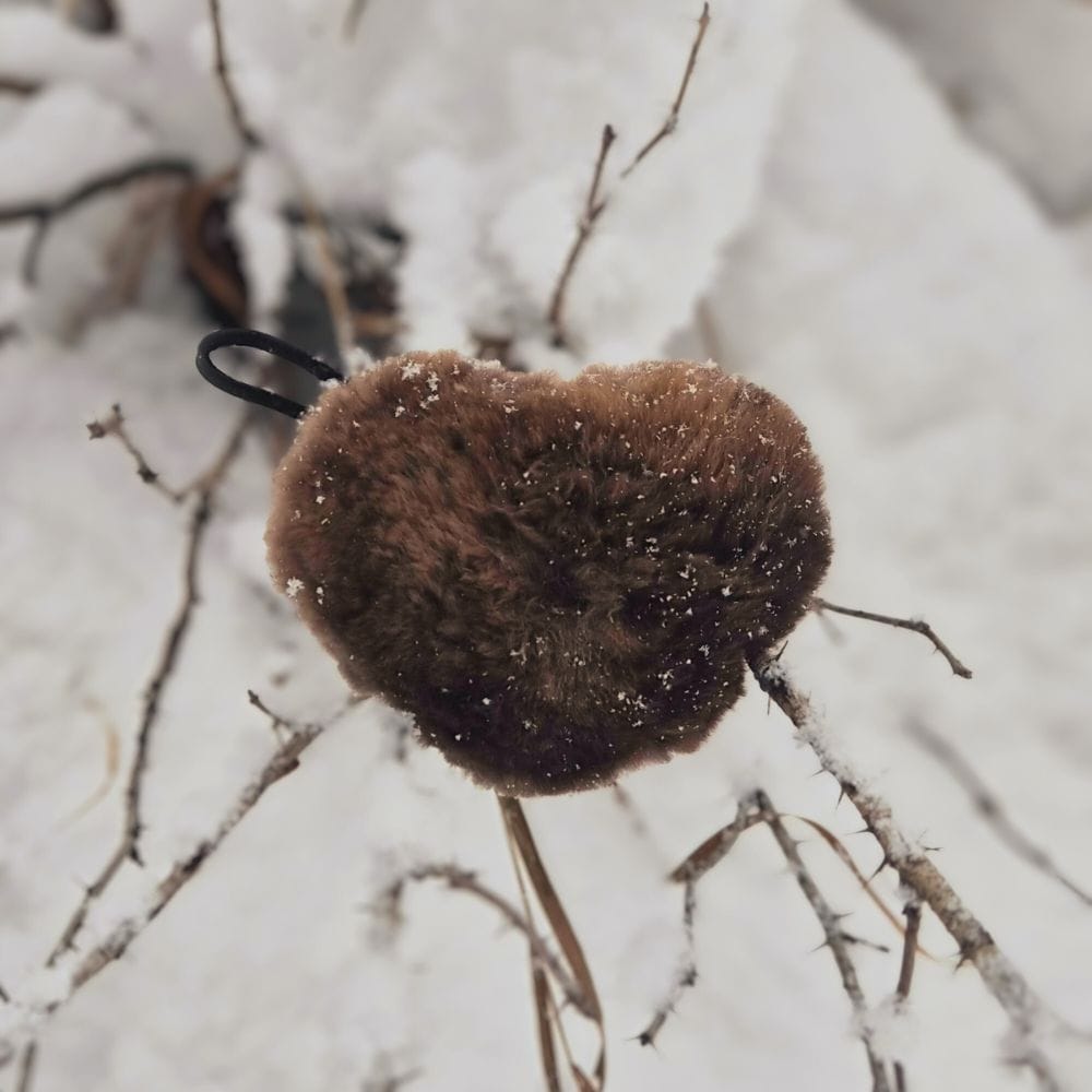 Fur Heart